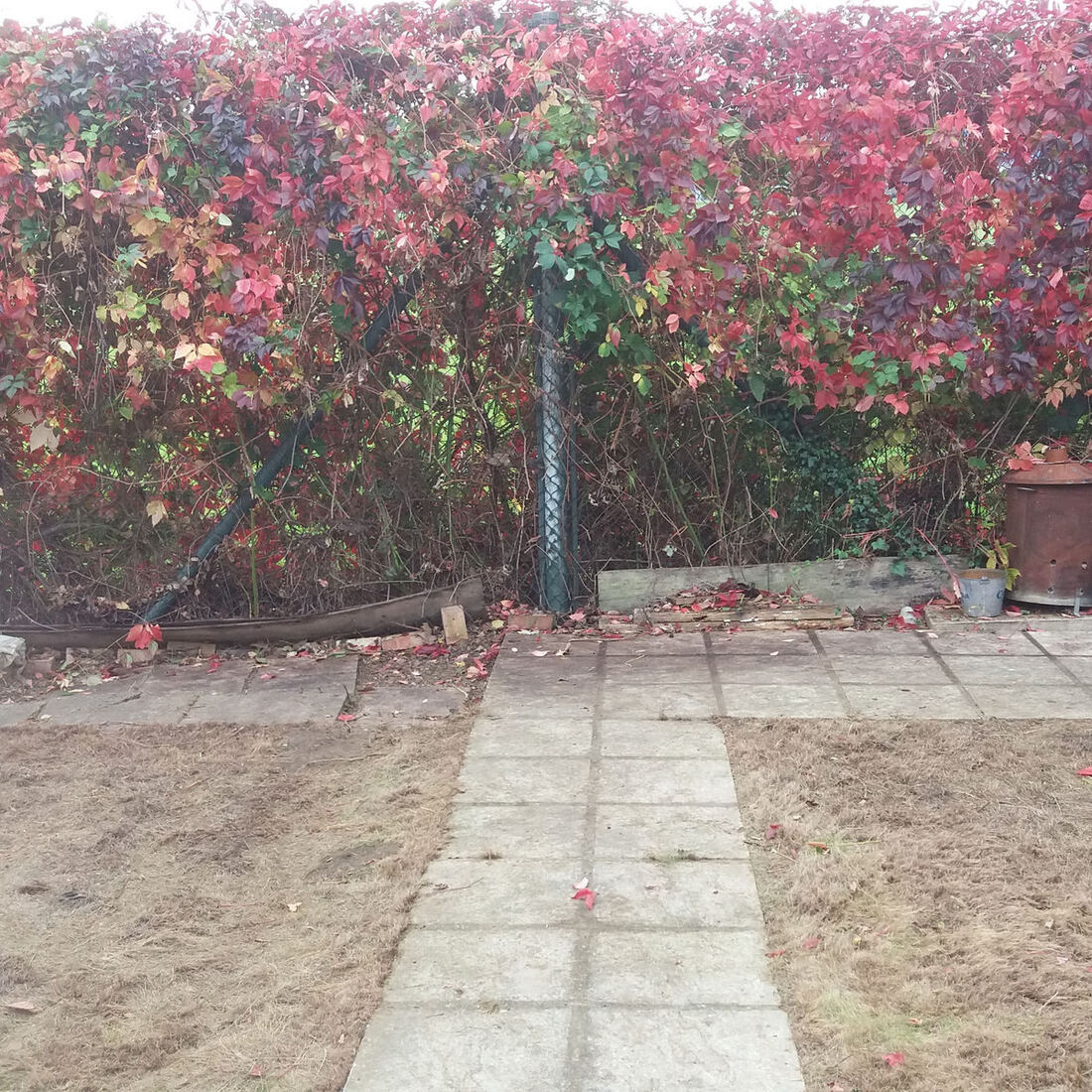 Garden, fencing and landscaping work by Paul's Gardening and Fencing