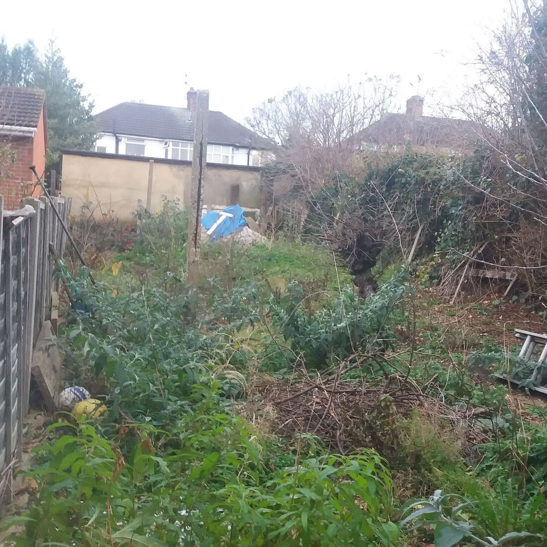 New fencing installed by Paul's Gardening and Fencing